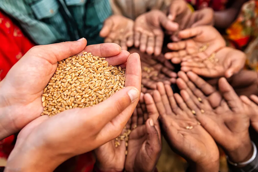 climate-migration-global-population-drought-africa climate migration global population drought africa