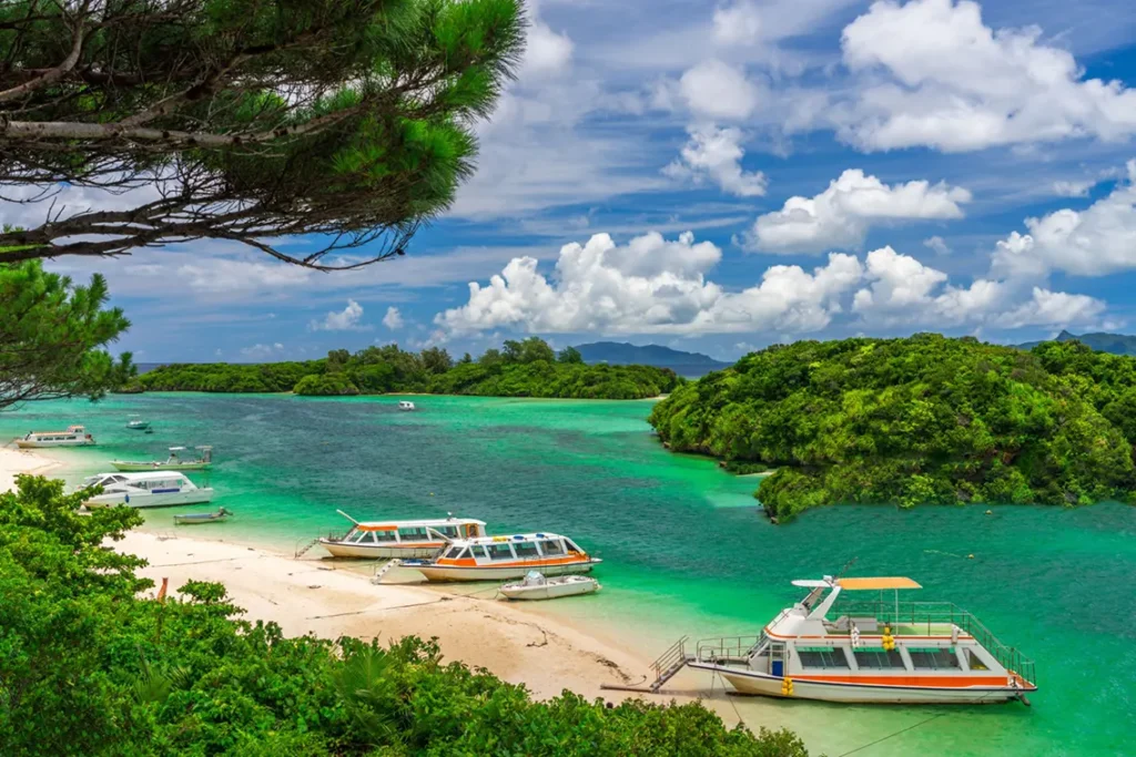 iriomote-island-japan-jungle. Irimote island in japan