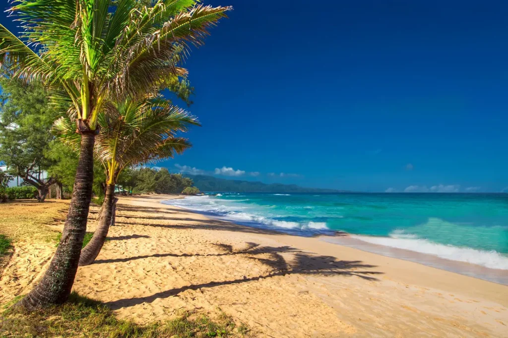 maui-hawaii-top-beach-spot Maui: Stunning golden beaches and lush landscapes in Hawaii
