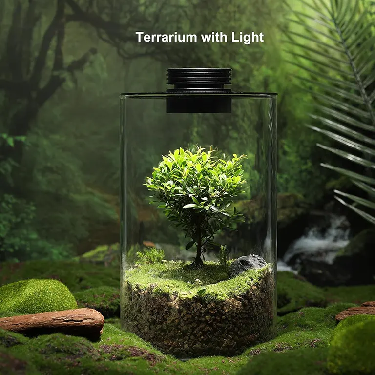 terrarium-desk-decoration-plant Detail shot of the terrarium's adjustable LED grow light and sleek design, highlighting its modern aesthetic and functional features