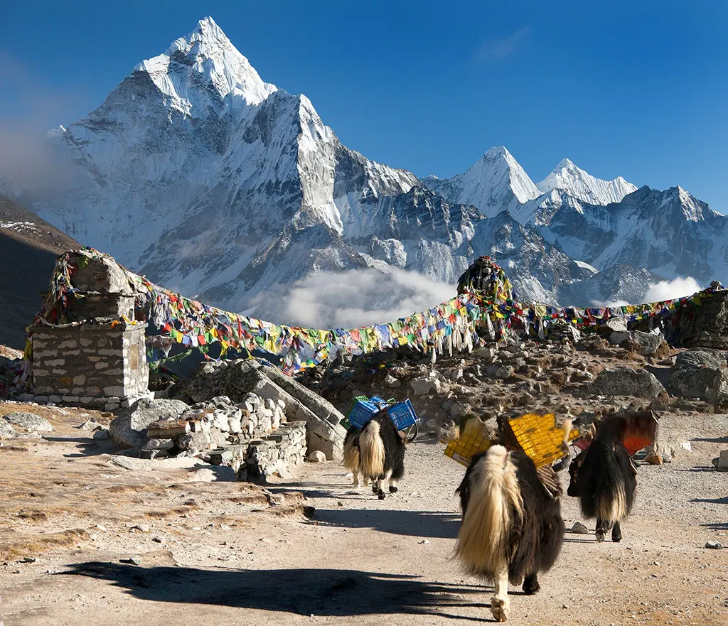 affordable international travel nepal