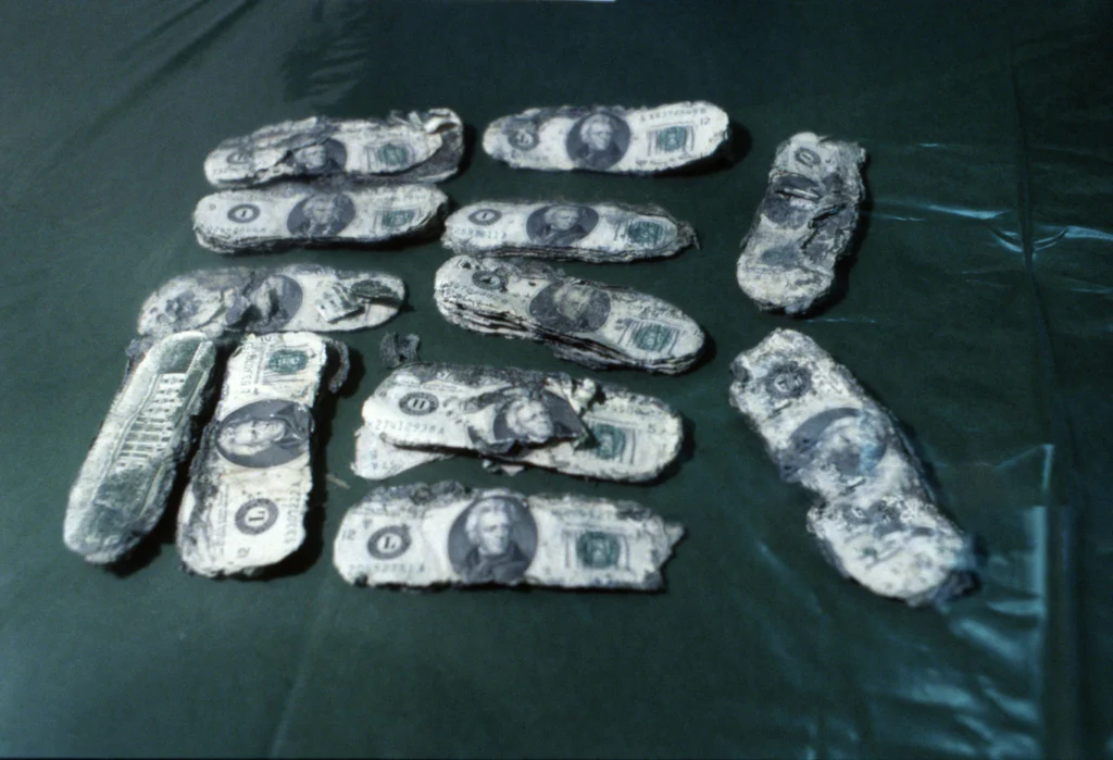 $5800-D.B.-Cooper-Ransom-Money-Found-Columbia-River Image of the decaying $20 bills from the D.B. Cooper ransom money found near the Columbia River in 1980, showing water damage.